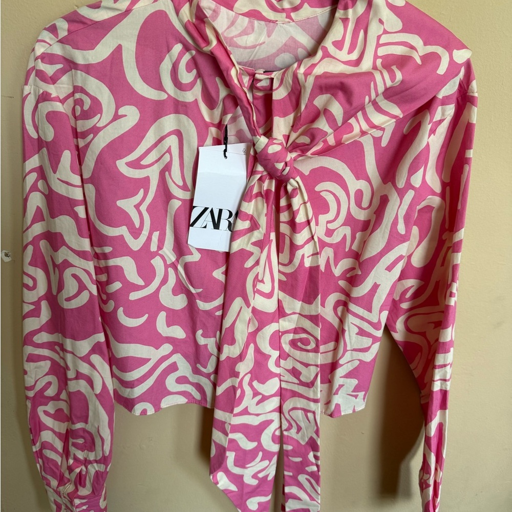Zara Pink and White Long Sleeve Crop Blouse